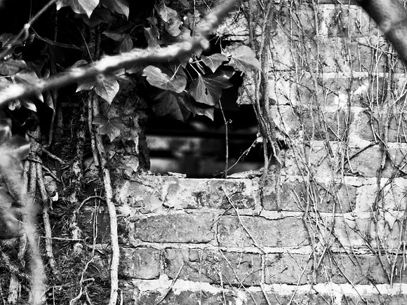 20150111_42_a_bw