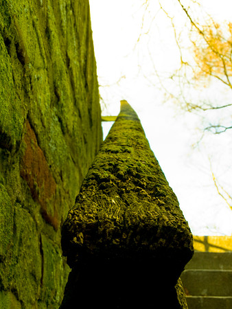 20121230_35_a